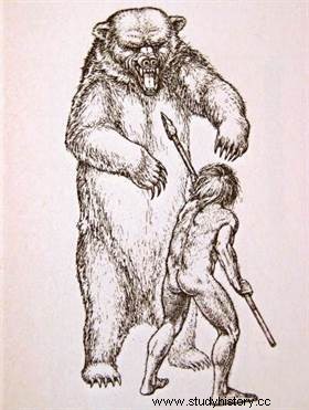 ホラアナグマに面した先史時代の男性 