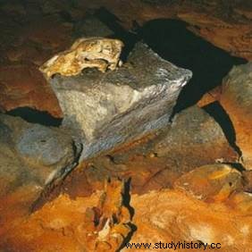 ホラアナグマに面した先史時代の男性 