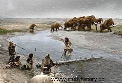 ネアンデルタール人：絶滅した祖先 