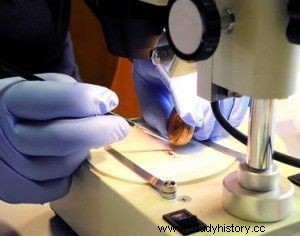 고고학을 바꾼 연대측정법의 과거와 미래, 탄소 14 