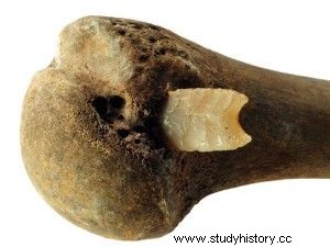 거대한 청동기시대 전투:발레 톨렌세 전투, 3,200년 전 
