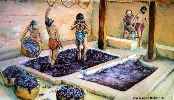 古代ワインのガイド #CulturaDeVino 