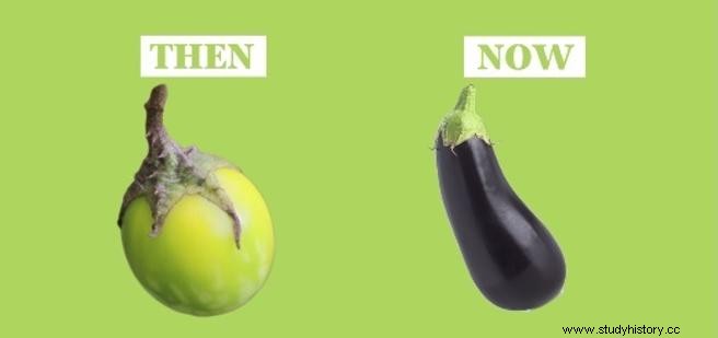 인간이 손에 넣기 전의 식물 세계는 어땠나요? 