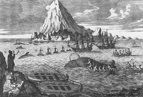 遅れて到着したことで世界を変え、クジラを救った手紙 