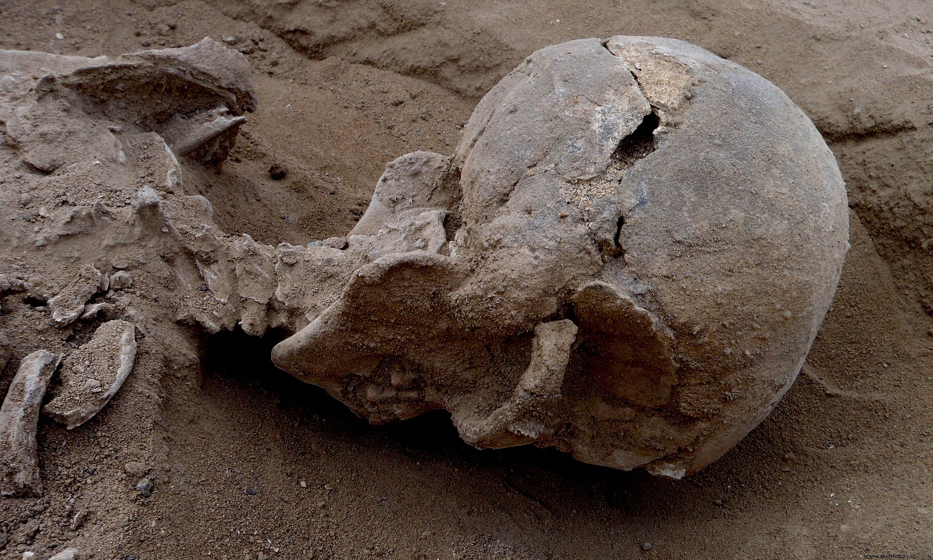 石器時代の虐殺は戦争が起こっていたという最古の証拠を提供する 