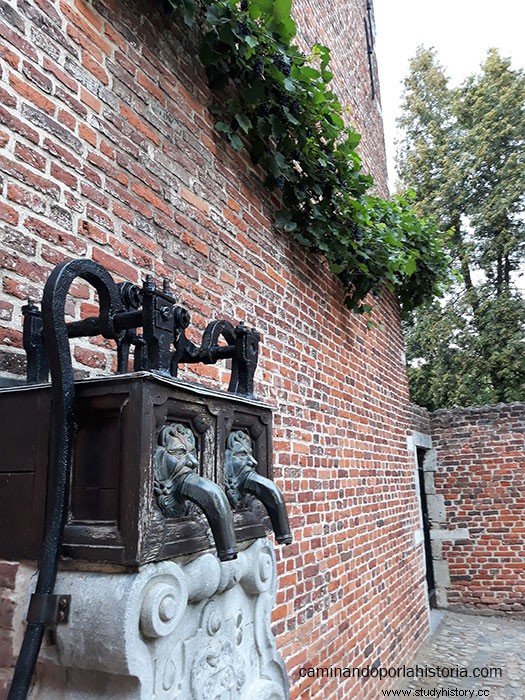 21세기 중세에 접근하는 방식, 플랑드르 베긴회(Flemish Beguinages). 