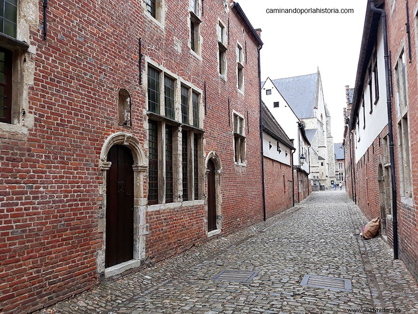 21세기 중세에 접근하는 방식, 플랑드르 베긴회(Flemish Beguinages). 