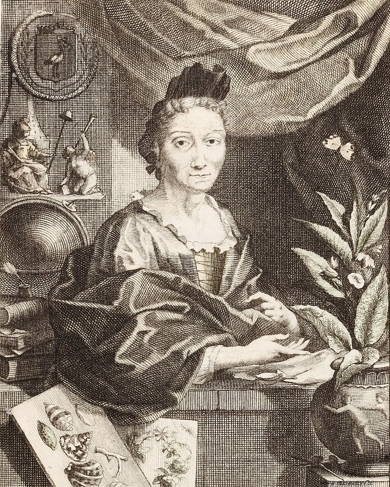 마리아 시빌라 메리안(Maria Sibylla Merian), 예술가이자 박물학자 