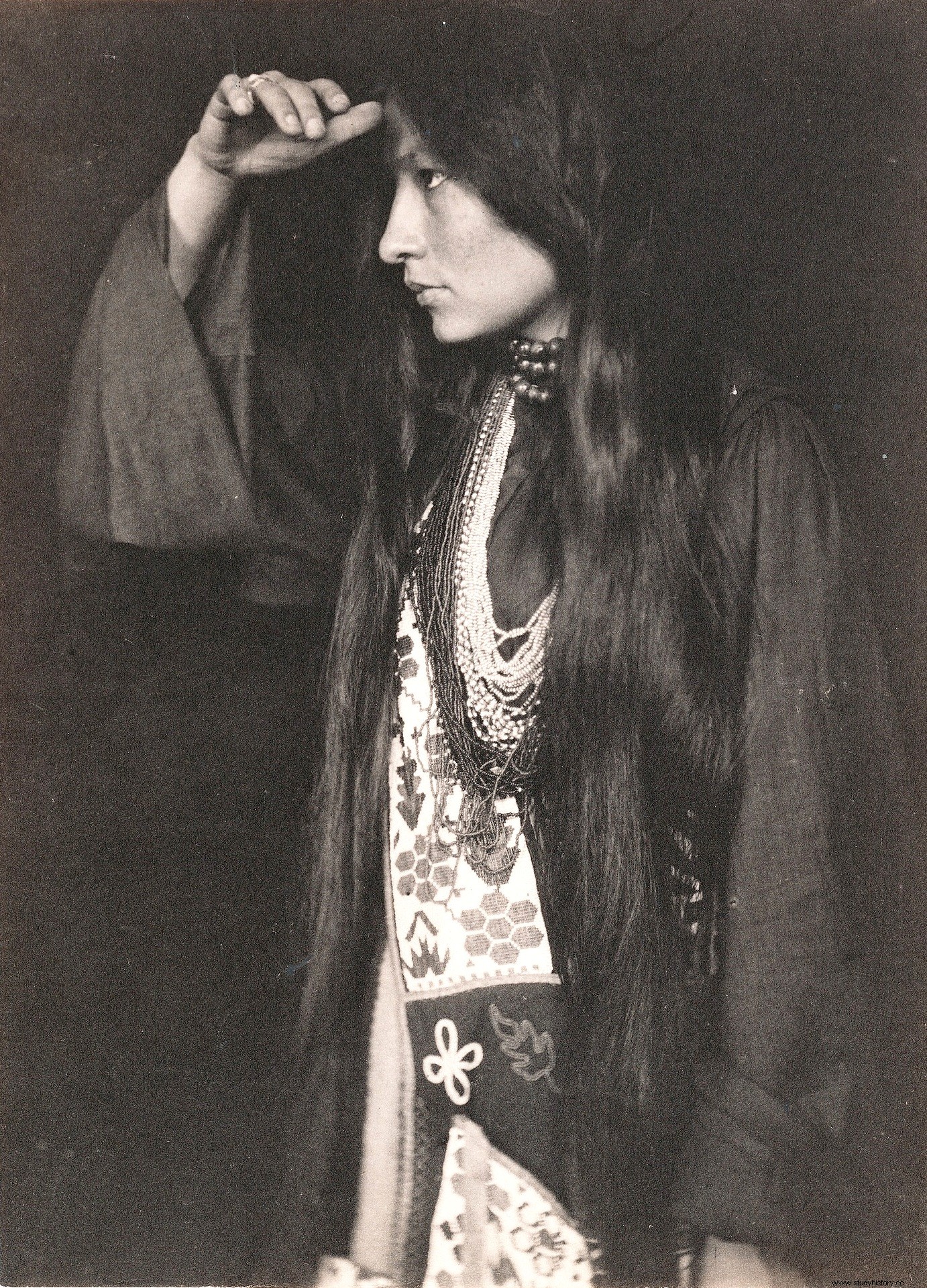 Zitkala-Ša, 아메리카 원주민 작가이자 활동가 