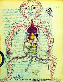 634年から790年まで：イスラム帝国 