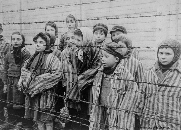  우리는 일회용품이었습니다.  Mengele 박사의 가장 무서운 실험 [18세 이상] 