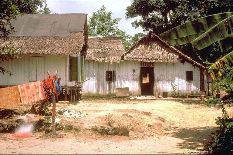 Kampong Way of Life에 대한 빠른 가이드 
