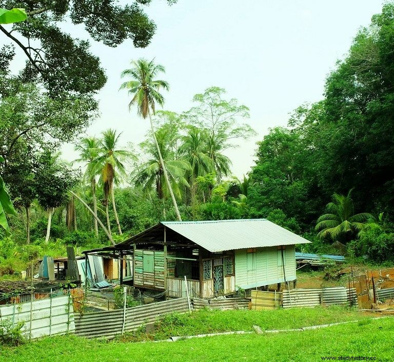 Kampong Way of Life에 대한 빠른 가이드 