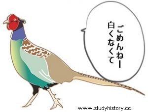【時代の歴史】時代の成り立ちと空白の50年の謎に迫る！ 