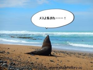 【徳川家斉】子供は53人？徳川11代将軍は子供を政治から遠ざけることに力を入れていたのでしょうか？ 