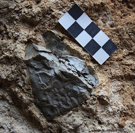 Hace 800.000 años, el hombre encendió el primer fuego en Europa 