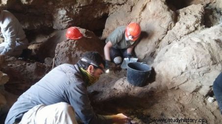 死海文書：クムランで新たな洞窟発見 