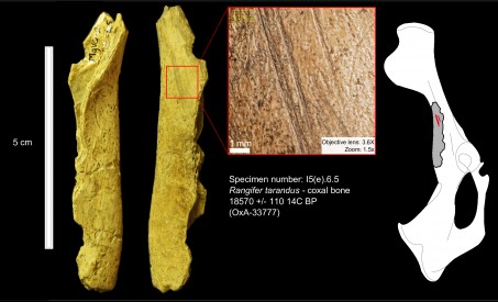 24,000年前の北米に存在した男性 