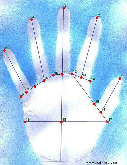 先史時代の芸術家の性別を定義するための生体認証の使用 