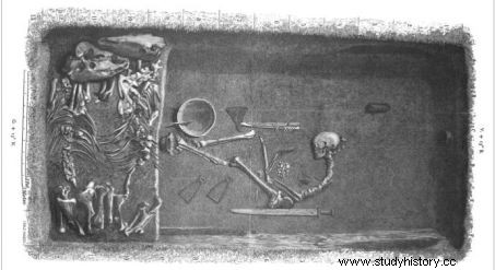 ヴァイキングの戦士は実在した！遺伝学による証明 