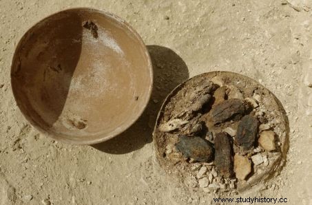 エジプトで発見された4000年前の例外的な埋葬庭園 