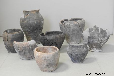 ノルマンディーでガリア人の子供たちの珍しい墓地を発見 