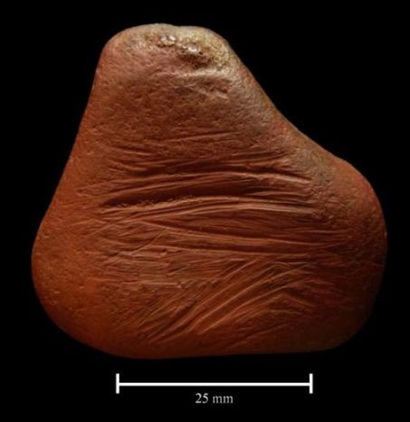このドーチャー鉛筆は1万年前に使用されていました 