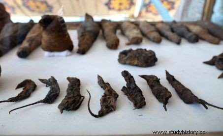 エジプト：ソハグで2000年以上の墓が公開される 