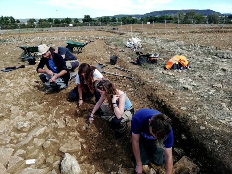 ケルトの王女、ヴィックスの淑女の古代の墓が地面からそびえ立っています 