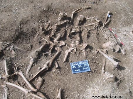 バイキングは天然痘ウイルスをヨーロッパ全土に広めるのに貢献したと考えられている 