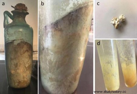 世界最古のオリーブオイル瓶、ナポリ考古学博物館で発見 
