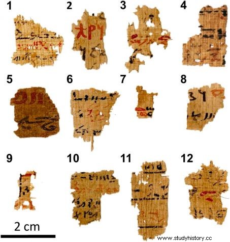 古代エジプト:パピルスの黒と赤のインクの組成が研究者を驚かせる 