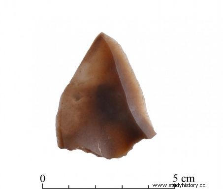 14万年前、人間のグループが知識を交換していた 