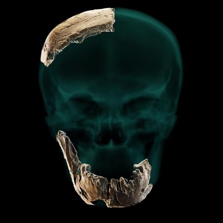 14万年前、人間のグループが知識を交換していた 