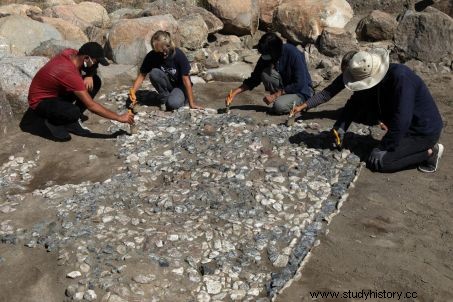 地中海のモザイクの祖先がトルコで発見 
