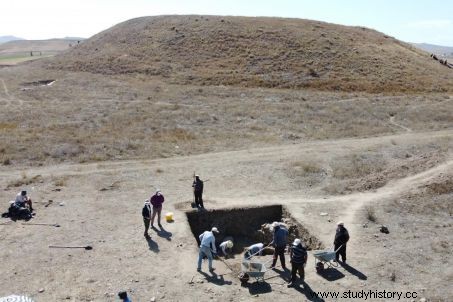 地中海のモザイクの祖先がトルコで発見 