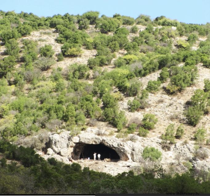 142,000年:世界最古の装飾品が発見された 