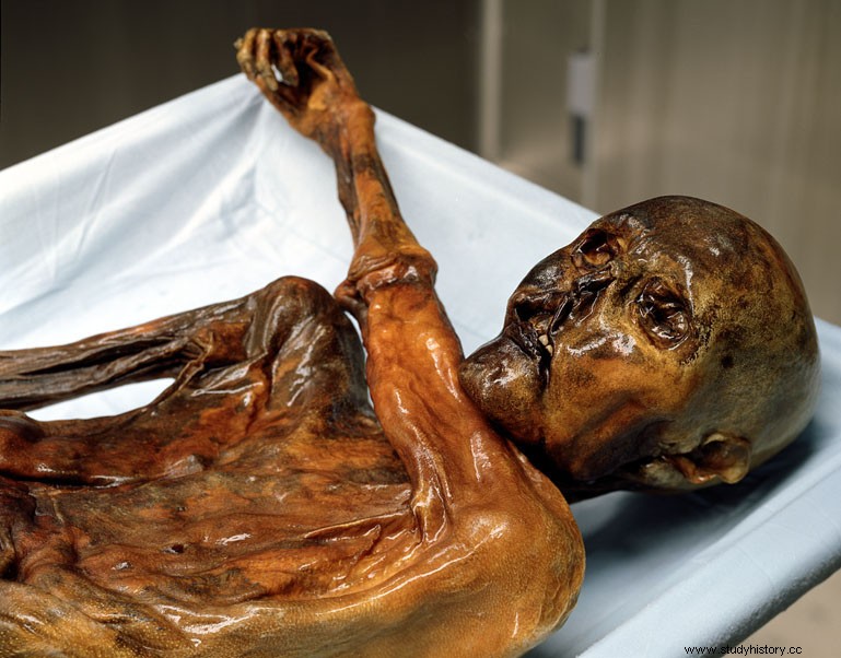 「類似のミイラ」エッツィの遺体から新たなタトゥーを発見 