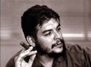 Che Guevara:a life, a myth 