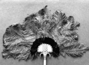 History of the fan and its language around the world 