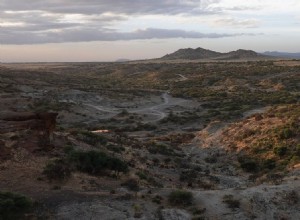 Olduvai 협곡 고인류학 및 고생태학 프로젝트. 인간의 기원과 행동에 관한 연구. 