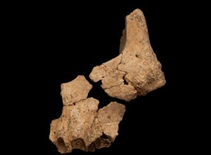 ヨーロッパで発見された最古の人間の顔はアタプエルカにある 