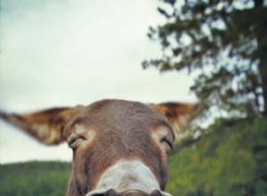 動物との「練習」が淋病の治療法だった時代 