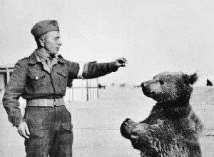 Voytek, el oso que se unió al ejército polaco 