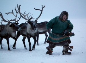 トナカイが戦争に行ったとき 