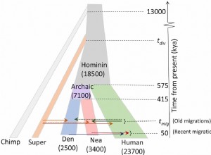 Humans carry DNA from an as yet unidentified ancestor 