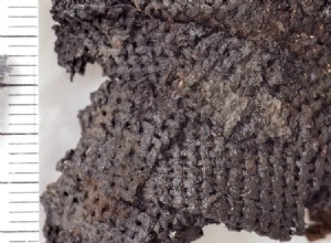 Çatalhöyük에서 발견된 역사상 가장 오래된 직물은 참나무 껍질로 만들어졌습니다. 