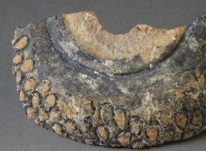 エルサレムで見つかった陶器の壺は十字軍時代に手榴弾として使用された可能性がある 