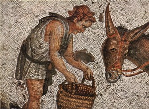The Romans introduced mules to Central Europe in the late 1st century BC. 