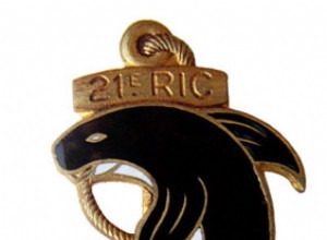 21st Marine Infantry Regiment 
